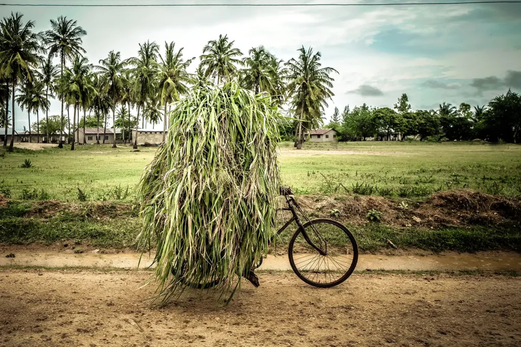 Harvest in Motion - Wim Demessemaekers