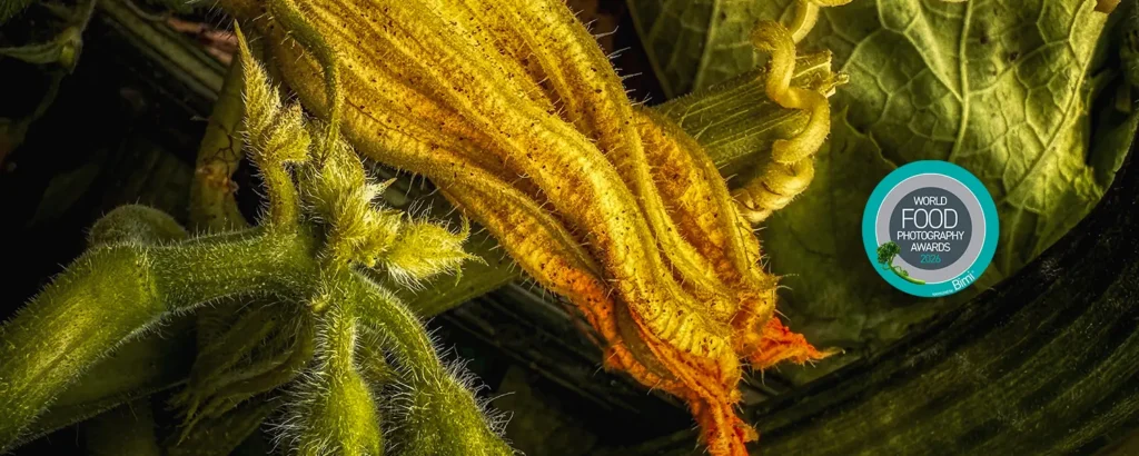 Squash Blossom – Photo by Linda Repasky