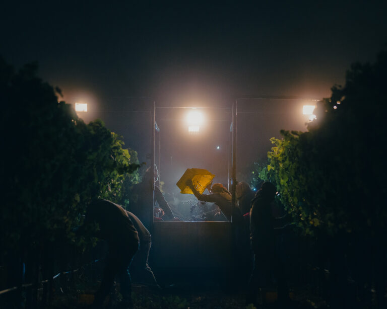 Photo credit: Heather Daenitz. Winner, Louis Jadot Wine Photographer of the Year, 2025.
