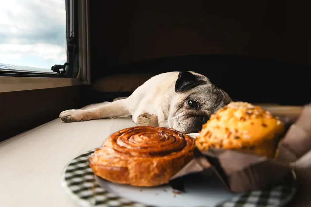 Paws and Pastries by Sylvie Pabion Martín - shortlisted in the Food Influencer category. 