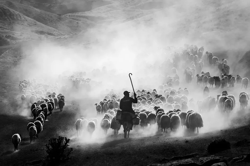 Serkan Dogus/World Food Photography Awards sponsored by Bimi®