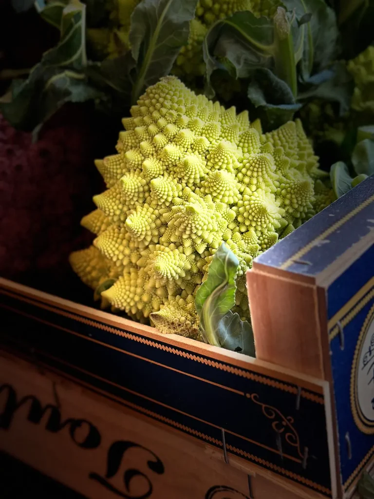 Ariel Owliaei/World Food Photography Awards sponsored by Bimi®